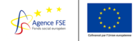 Logo F.S.E